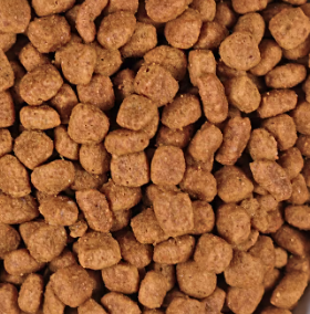 Dog Food Loose 1kg