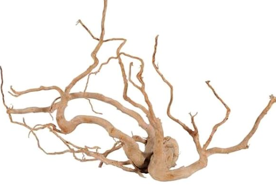 Spider Root Aquarium/Terrarium Natural Decor 590gr