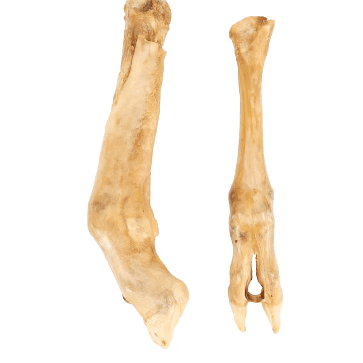 Natures Snack Lamb Foot 2pcs