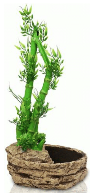 2-in-1 Height Adjustable Bamboo Plant Dripper 22.5x21x26cm