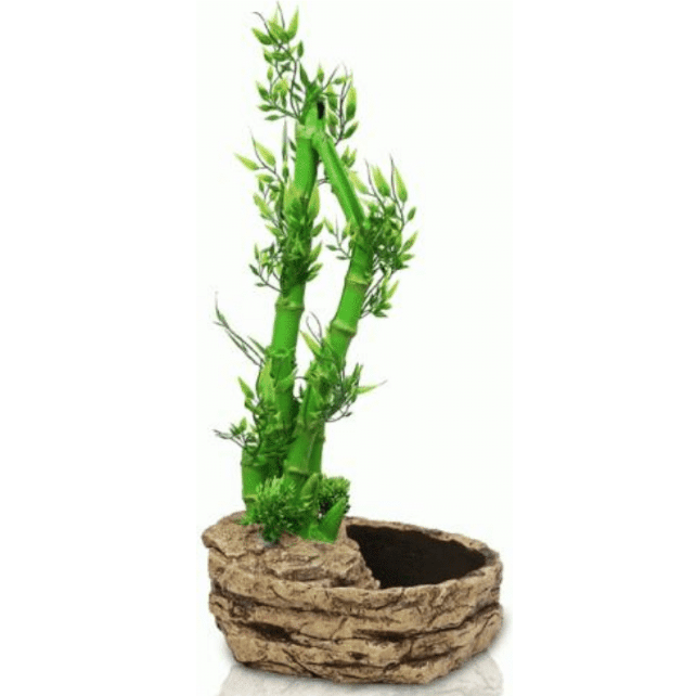 2-in-1 Height Adjustable Bamboo Plant Dripper 22.5x21x26cm