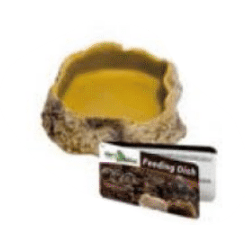 Reptile Food Dish (4 Sizes)