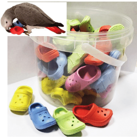 Bird Toy Crocs 7.6x3.6x3.45cm