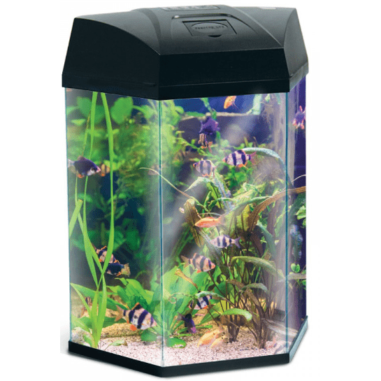 AA-Aquarium Hexagon Black 22L, 33x30x43.3cm