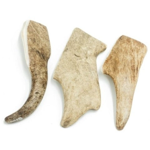 Fallow Deer Antler Chew Hard XL 19.7-23.4cm 9-12.5cm