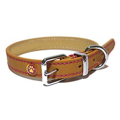 Rosewood Lux Leather Collar Tan 14-18In