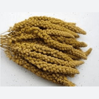 Yellow Millet Spray 1kg