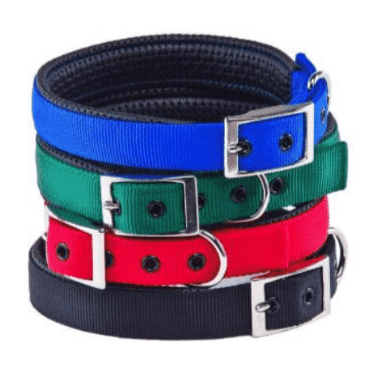 SH Dog Collar