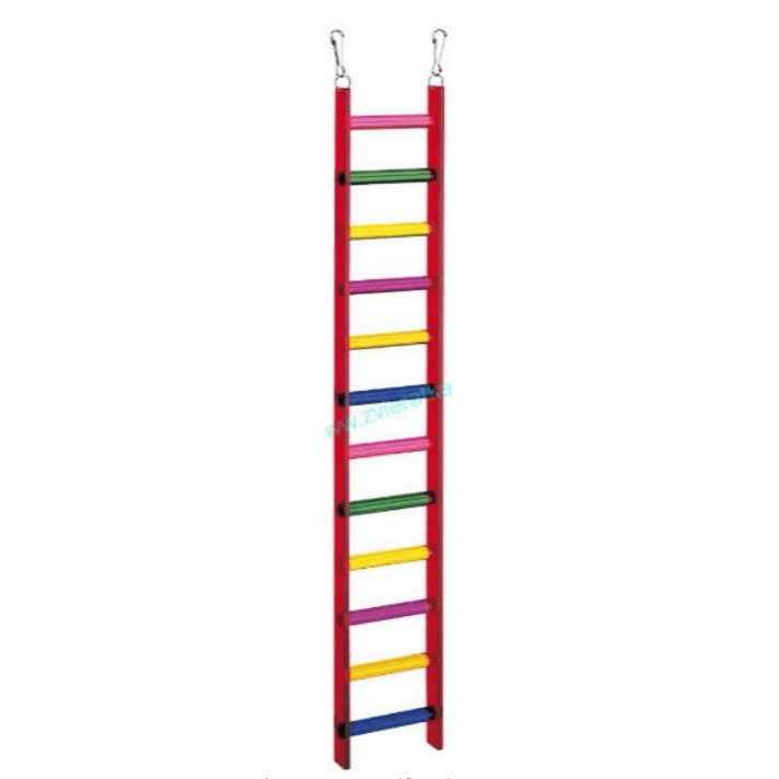 Ladder For Medium And Large Size Birds, 12 Rungs