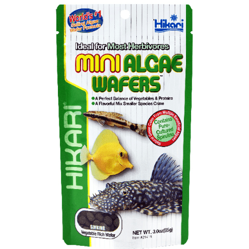 Hikari Mini Algae Wafers 22g