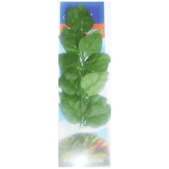 Resun Aquatic Plant 16"