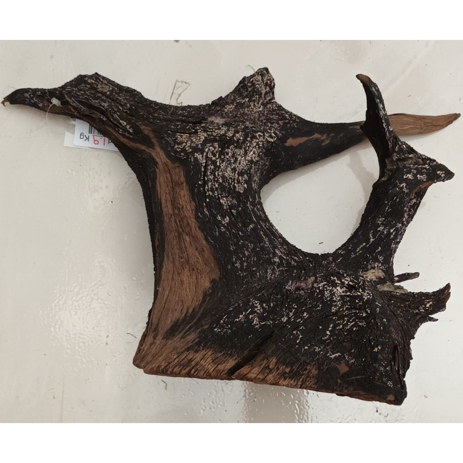 Driftwood 1.9kg