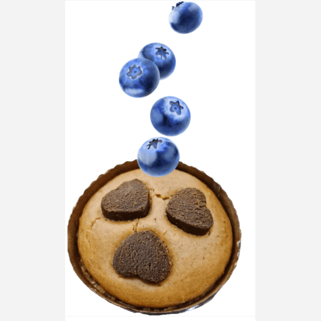 Pet Party Blueberry Dog Cake 150gr