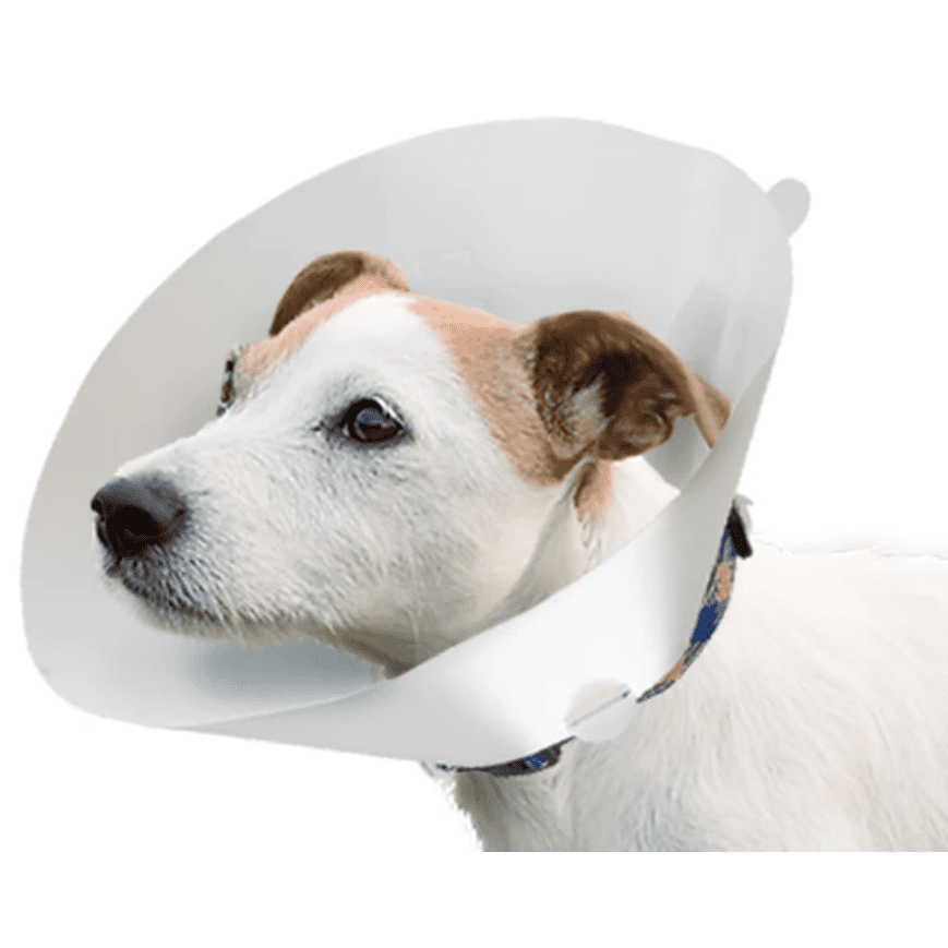 Ferplast Veterinary Collar Small GRO6004