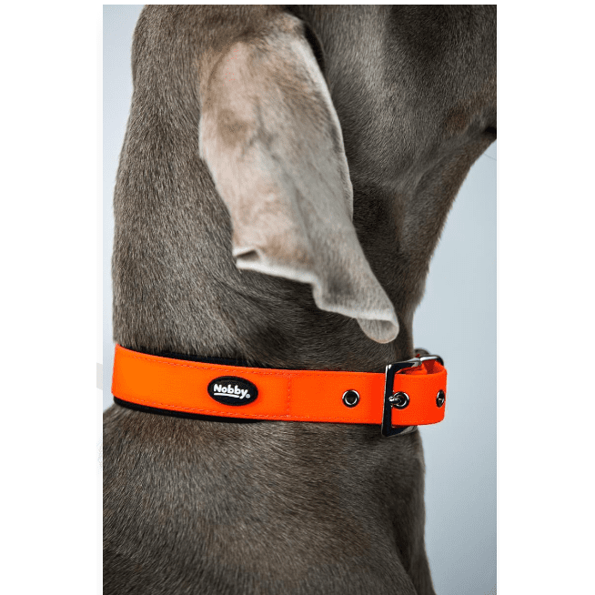 Nobby Orange Dog Collar PVC M 40-50cm