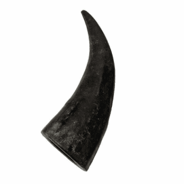 Buffalo Horn Small