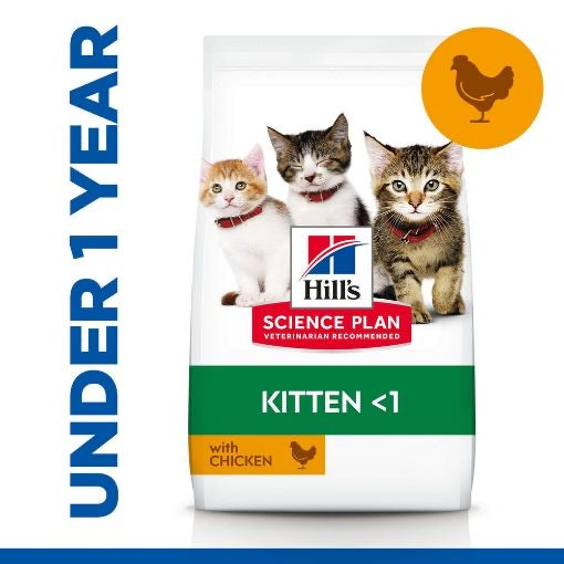 Hills Science Plan Kitten Food With Chicken 1.5kg + 3x85gr Pouches Healthy Cuisine Kitten Wet Food with Chicken FREE