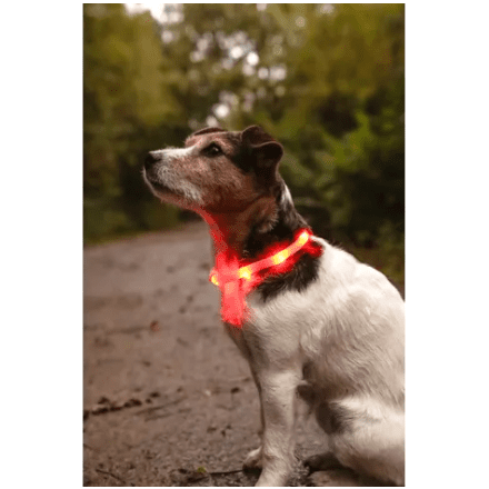 Flamingo Vision Light LED Collar Red 70cm