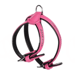 Flamingo Harness Padded Monte Carlo Pink