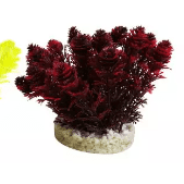 Nano Bush Coloured 6cm