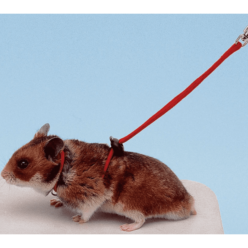 Ferplast NY HAM Adjustable Hamster Harness - L 1100mm