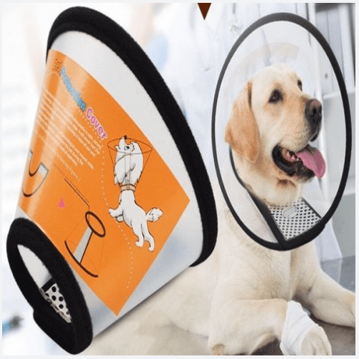 Vet Dog Collar