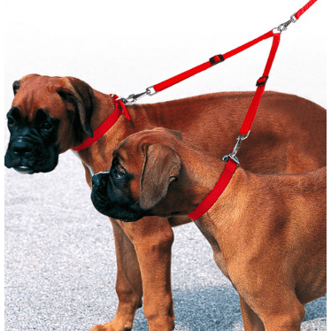 Ferplast Twin Dog Lead